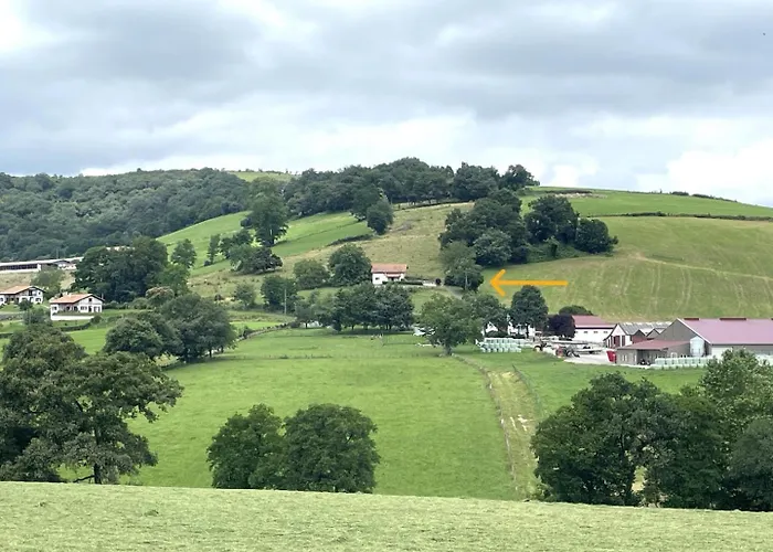 Gohanetxea Holiday home